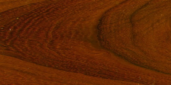 ����ľ�ģ�Ip�� ��ؐ��Ԕ����B