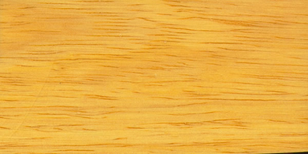 ����ľ�ģ�Paric����Ԕ����B