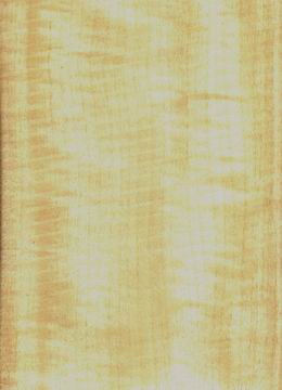 E.V.�׺���(Ӱ)��Ԕ����B